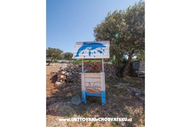 App Bonić – foto 141