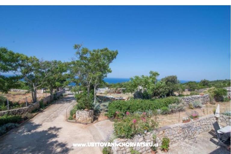 App Bonić – foto 34