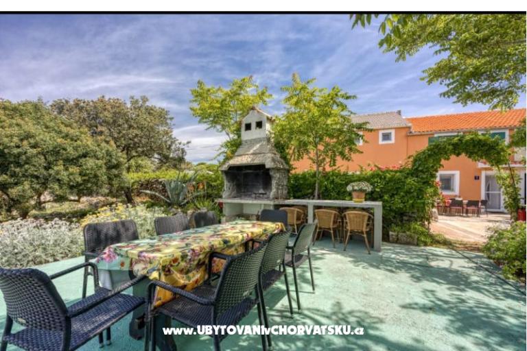 App Bonić – foto 91