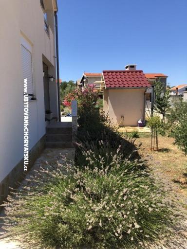 Apartmani 3M Vir – foto 14