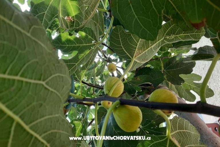 Apartmani Alma – foto 16