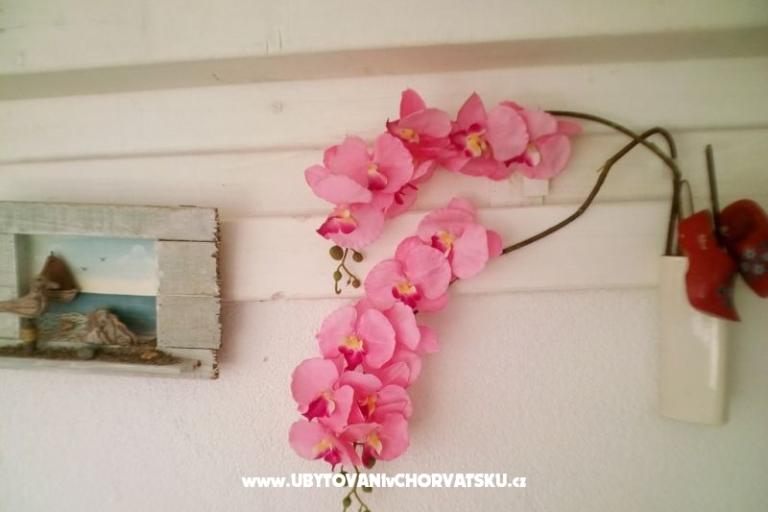 Apartmani Alma – foto 17