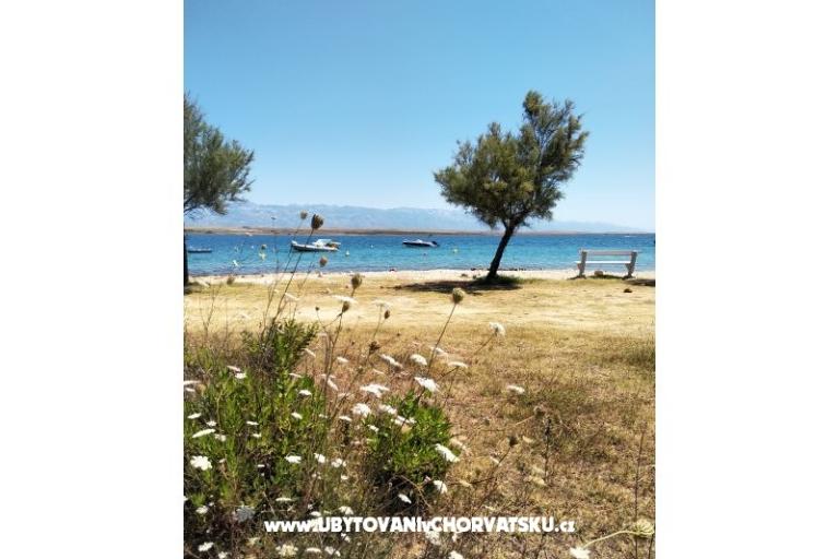 Apartmani Aria – foto 20