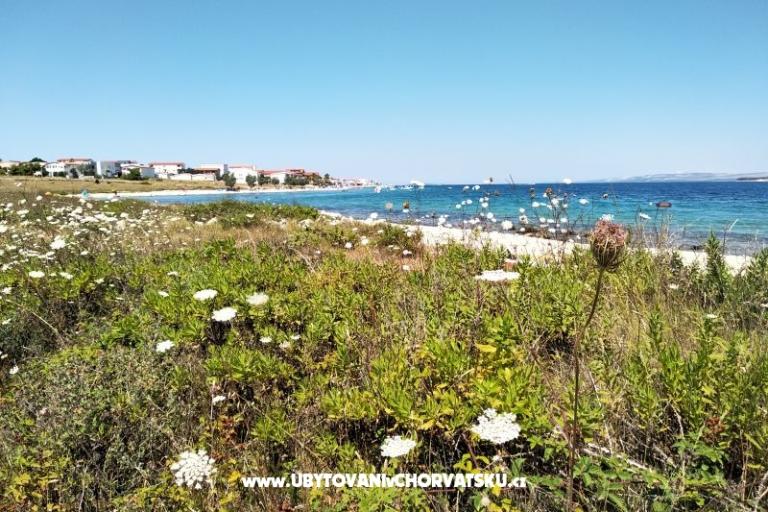 Apartmani Aria – foto 22