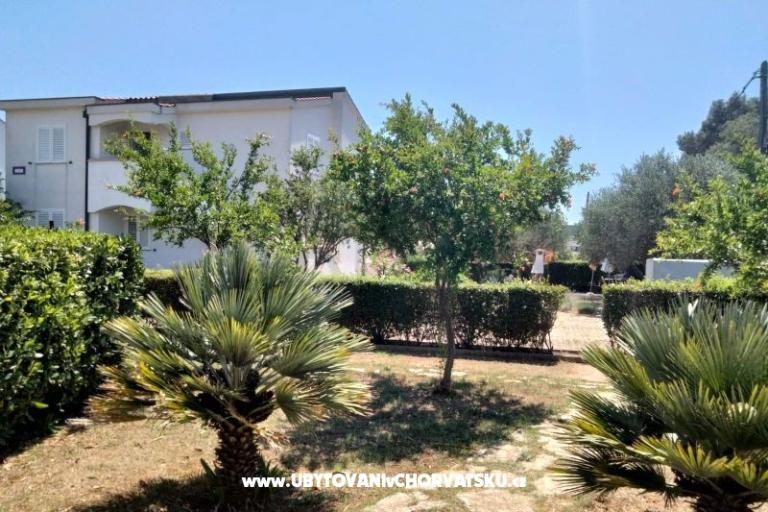 Apartmani Budija / Viola – foto 10