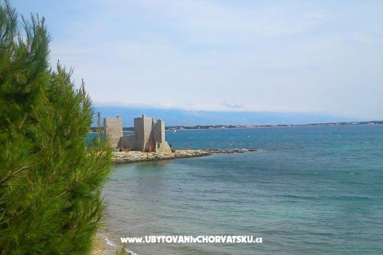 Apartmani Budija / Viola – foto 12