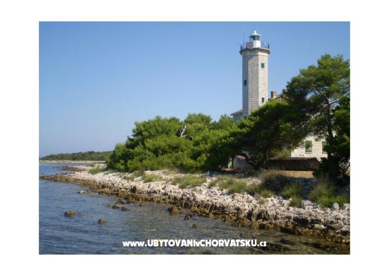 Apartmani Budija / Viola – foto 15