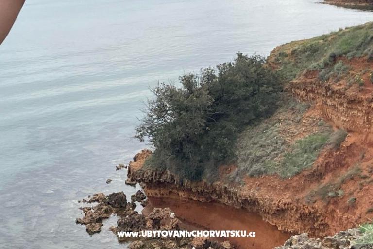 Apartmani Budija / Viola – foto 16