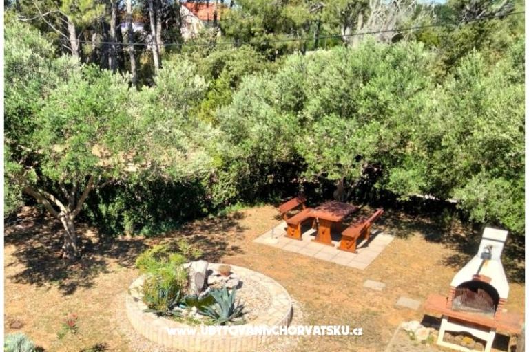 Apartmani Budija / Viola – foto 3