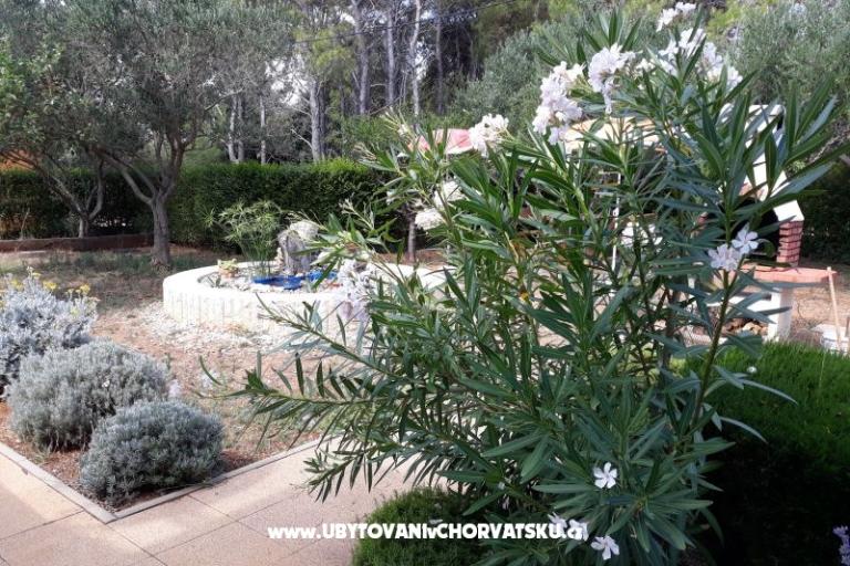 Apartmani Budija / Viola – foto 5