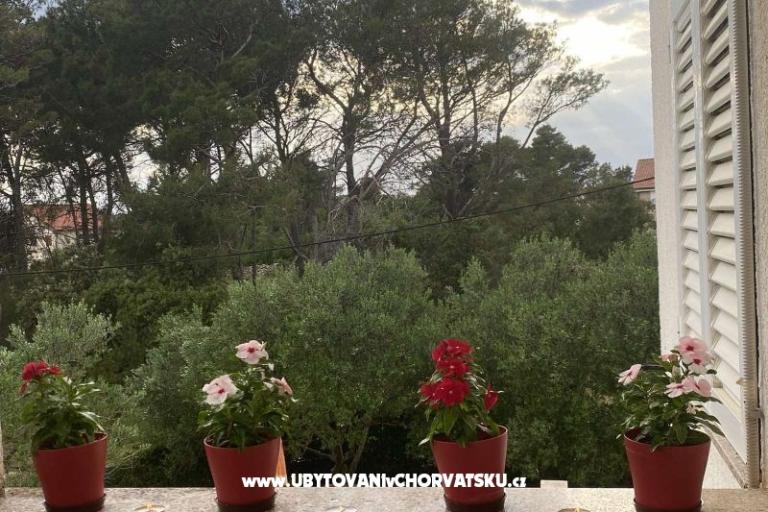 Apartmani Budija / Viola – foto 7