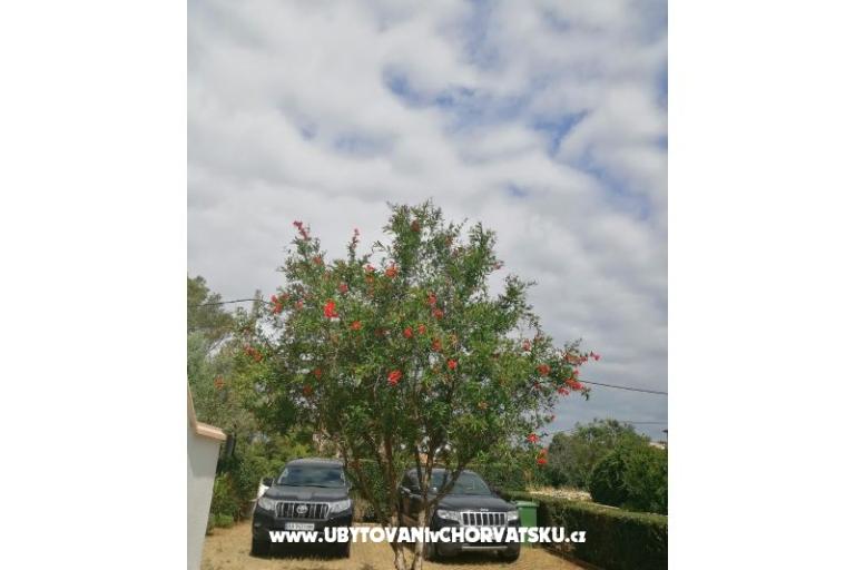 Apartmani Budija / Viola – foto 9