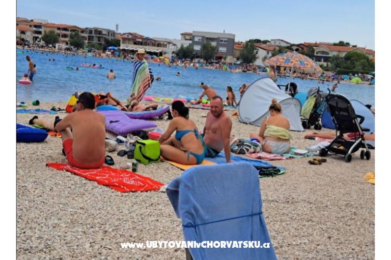 Apartmani Dalija  Vir – foto 18