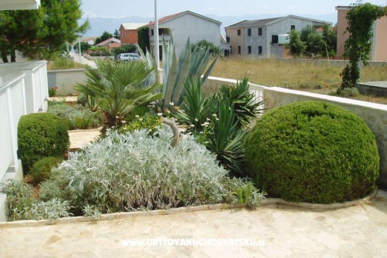 Apartmani Fegeš – foto 11