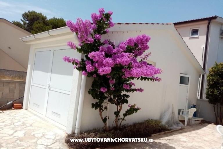 Apartmani Fegeš – foto 4