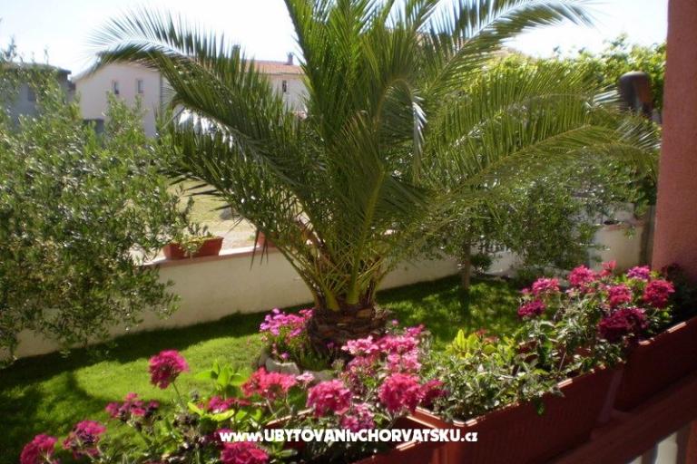 Apartmani Kantoci – foto 12