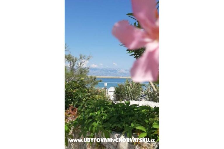 Apartmani Knapić – foto 7
