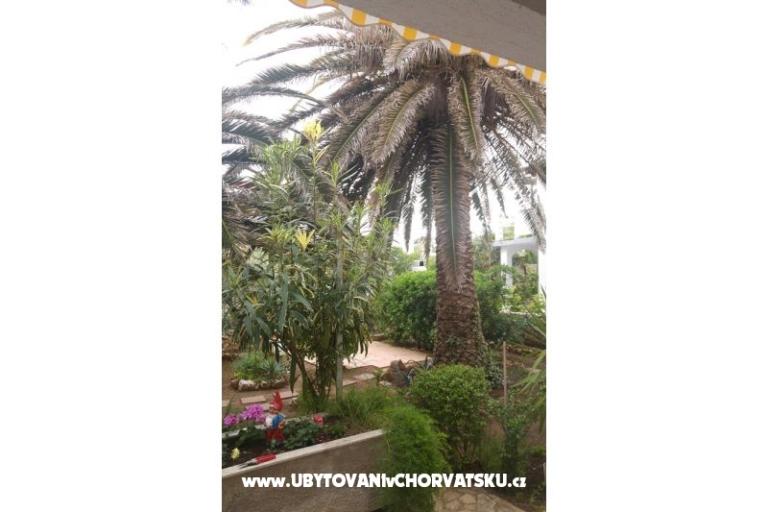 Apartmani Milka Vir – foto 7