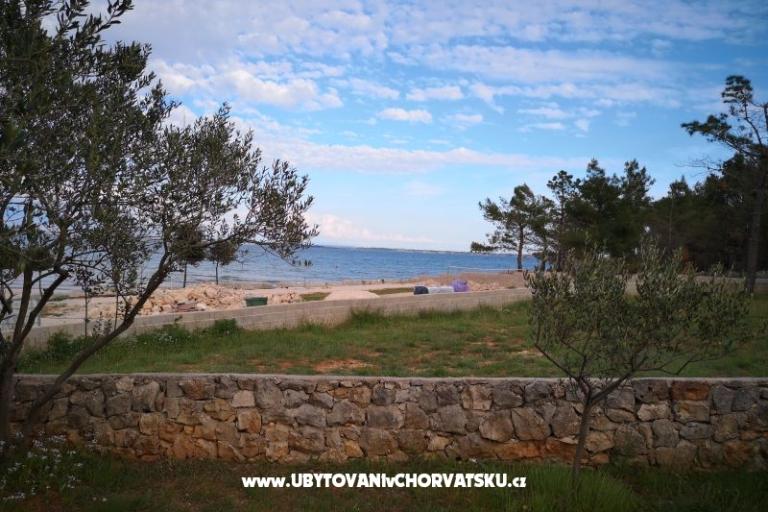 Apartmani Pedic – foto 5