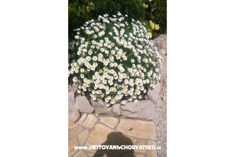Apartmani Štefanija – foto 11