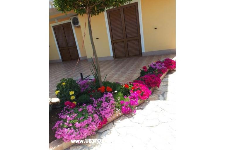 Apartmani Štefanija – foto 13