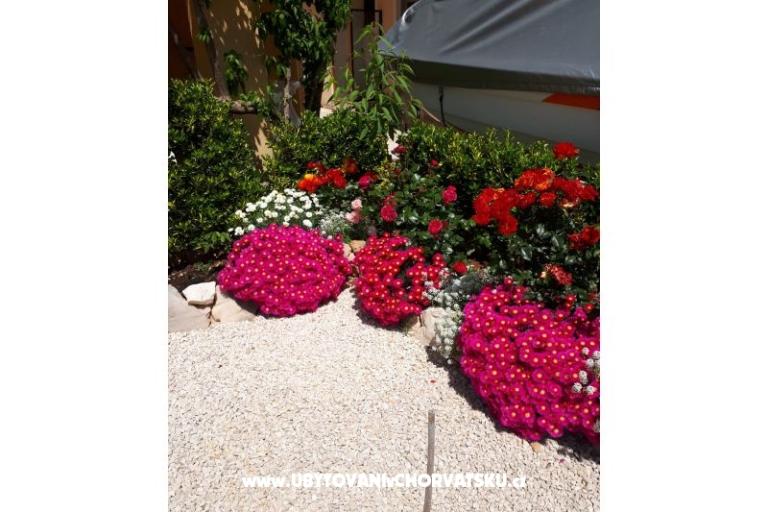 Apartmani Štefanija – foto 14