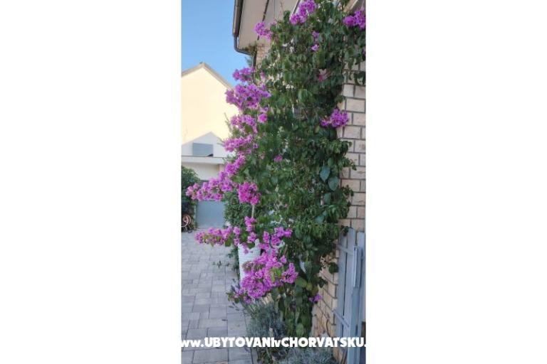 Apartmani Sunce – foto 35