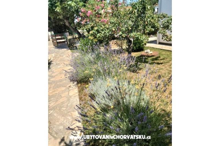 Apartmani Budija / Lavanda – foto 4