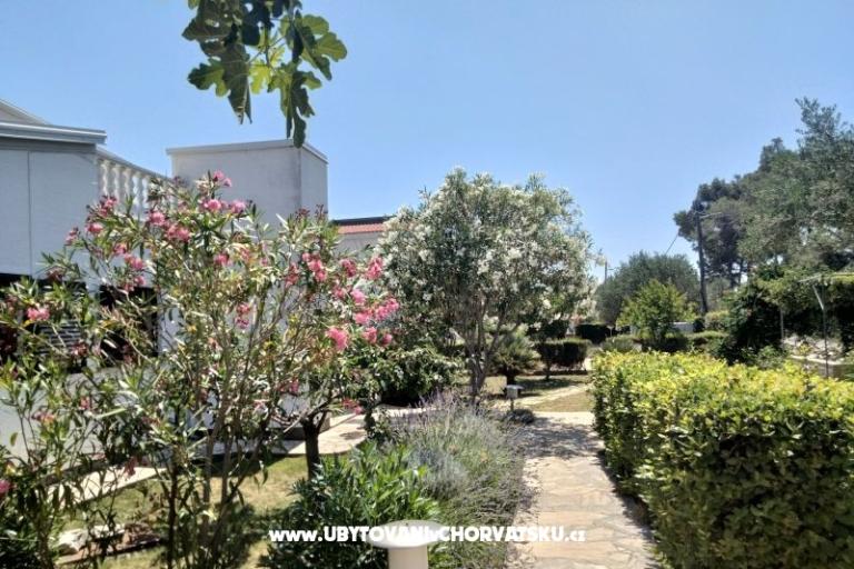Apartmani Budija / Lavanda – foto 6