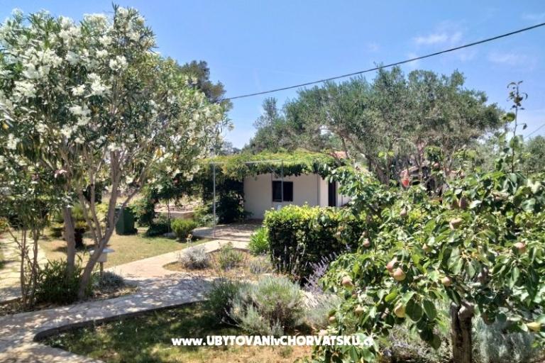 Apartmani Budija / Lavanda – foto 7