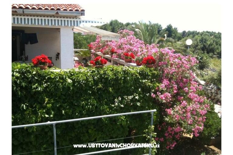 Apartman Lučica – foto 11