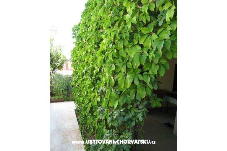 Apartman Lučica – foto 12