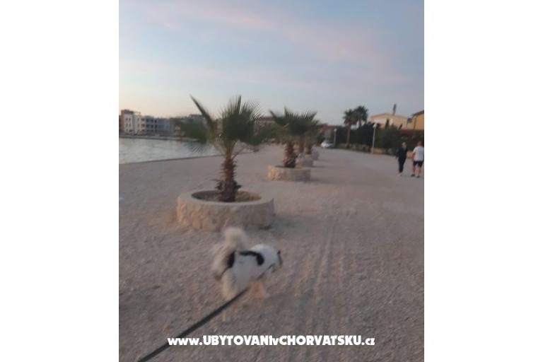 Apartmani IVA – foto 35