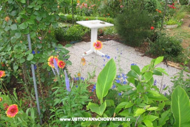 Apartmani Pavlica – foto 12