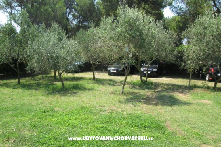 Apartmani Pavlica – foto 8
