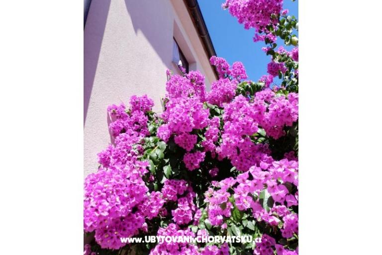 Apartmani VIR-to-all – foto 5