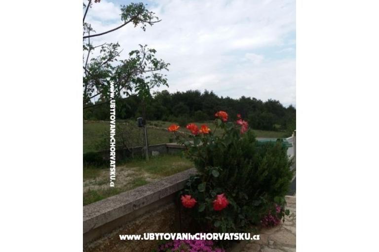 Apartmani Vlašić – foto 5