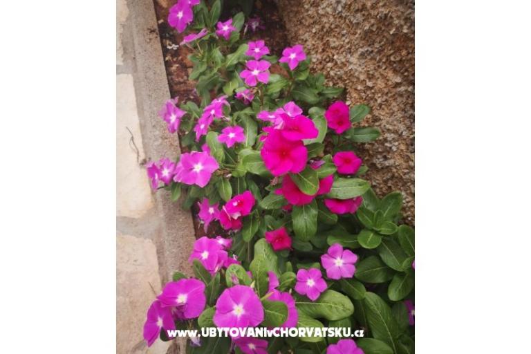 Apartmani Vlašić – foto 9