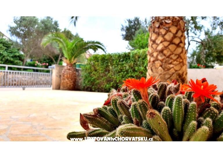 Happy Pineapple Apartmani Vir – foto 6
