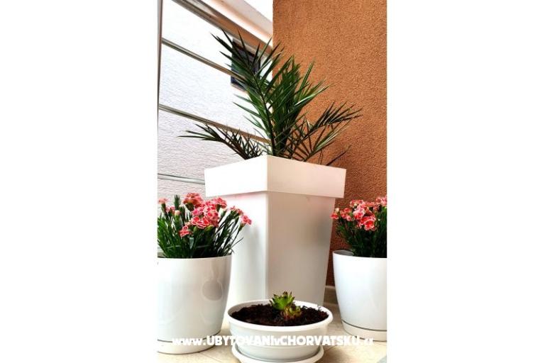 Happy Pineapple Apartmani Vir – foto 7