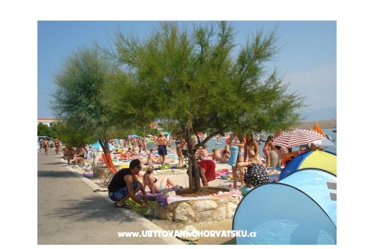 Apartmani-MGM Vir – foto 15