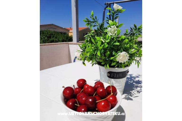 Nedić Apartmani – foto 8