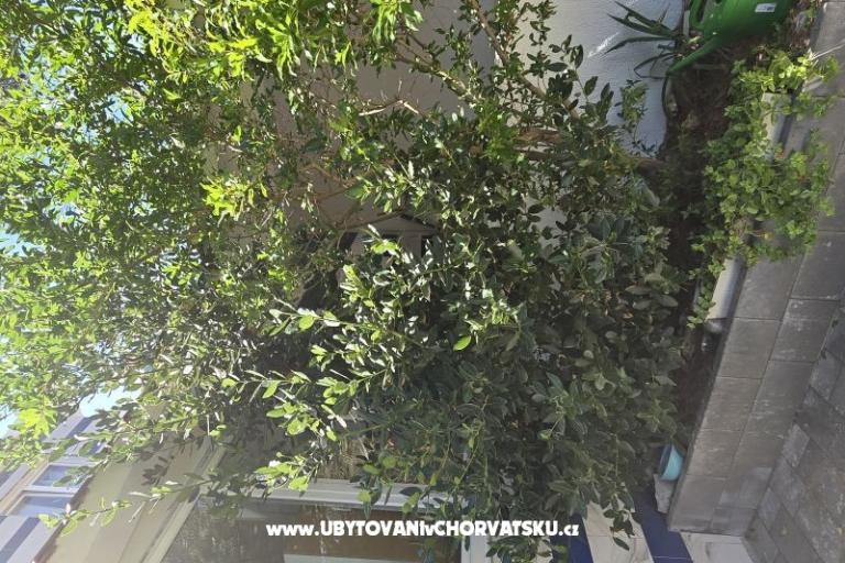 Sunset Paradise Apartmani Vir – foto 57