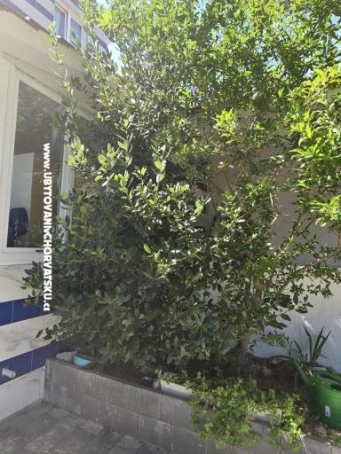 Sunset Paradise Apartmani Vir – foto 62