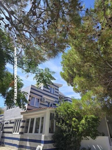 Sunset Paradise Apartmani Vir – foto 63