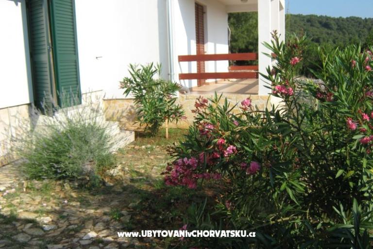 Apartmani Vlado – foto 9