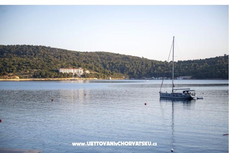 Apartman AndriNa  Vis – foto 16