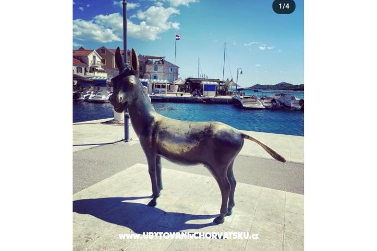 Apartman Viola – foto 24