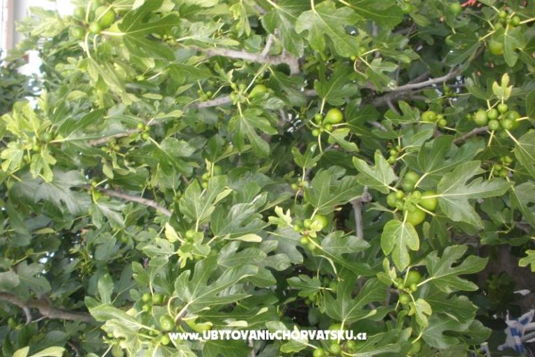 Apartmani  Smokva   – foto 15