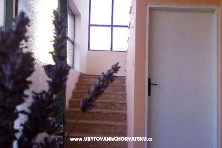 Apartmani  Smokva   – foto 3